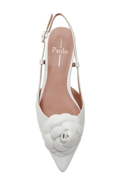 Shop Linea Paolo Cammy Slingback Pointed Toe Flat In Eggshell