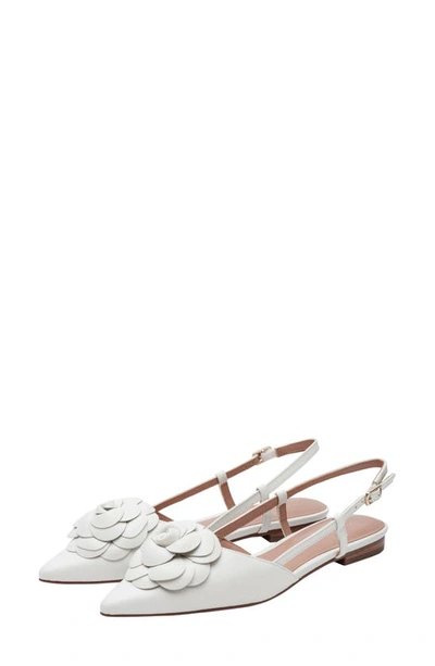 Shop Linea Paolo Cammy Slingback Pointed Toe Flat In Eggshell