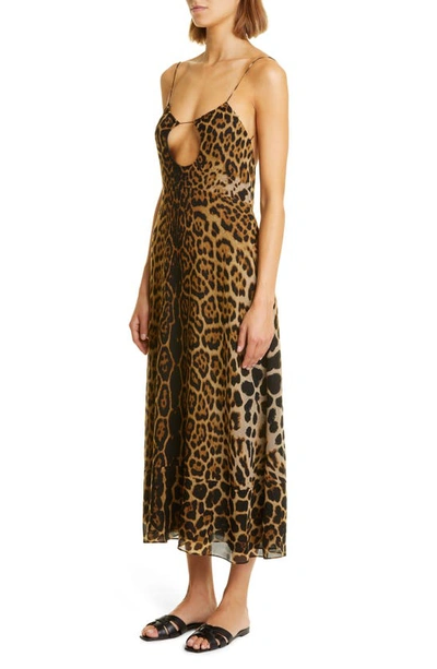 Shop Saint Laurent Leopard Print Cutout Wool Dress