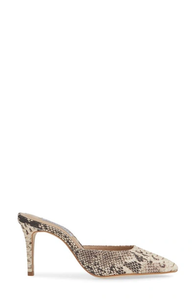 Steve shop madden elyse