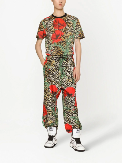 Dolce & Gabbana Animal Flower Print Cotton T-shirt In Brown