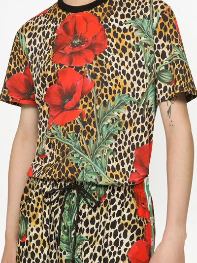 Shop Dolce & Gabbana Floral Leopard-print T-shirt In Brown