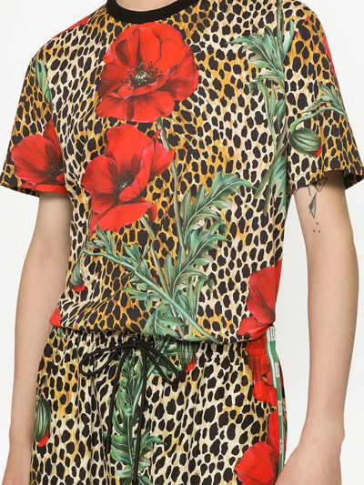 Dolce & Gabbana Animal Flower Print Cotton T-shirt In Brown