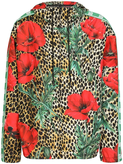 Shop Dolce & Gabbana Floral-print Hooded Jacket In Brown