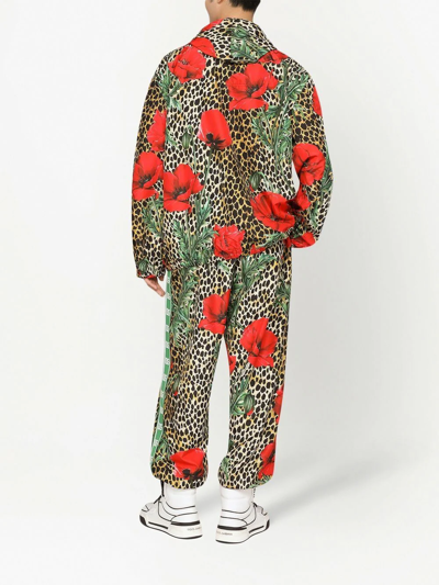 Shop Dolce & Gabbana Floral-print Hooded Jacket In Brown