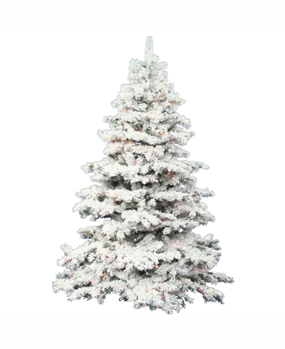 Shop Vickerman 5.5 Ft Flocked Alaskan Pine Artificial Christmas Tree With 500 Clear Lights
