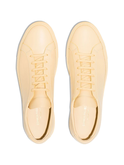 Shop Common Projects Achilles Low-top Sneakers In Yellow