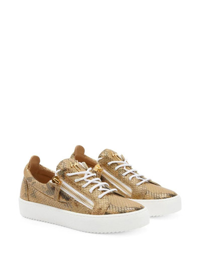 Shop Giuseppe Zanotti Gail Snakeskin-effect Sneakers In Gold