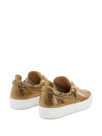 Shop Giuseppe Zanotti Gail Snakeskin-effect Sneakers In Gold