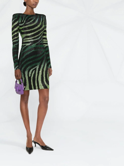 Philipp Plein Crystal-embellished Zebra-print Dress In Black