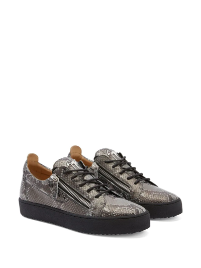 Giuseppe Zanotti Frankie Reptile-print Sneakers In Black