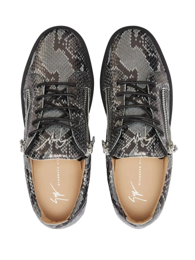 Giuseppe Zanotti Frankie Reptile-print Sneakers In Black