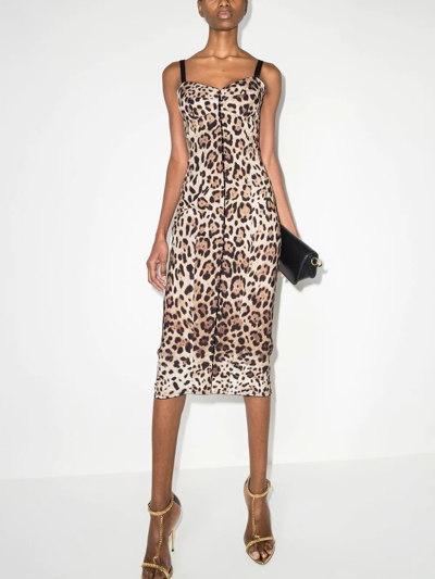 Shop Dolce & Gabbana Leopard-print Midi Dress In Neutrals