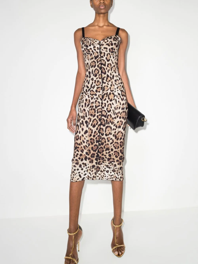 Dolce & Gabbana Leopard-print Midi Dress In Neutrals