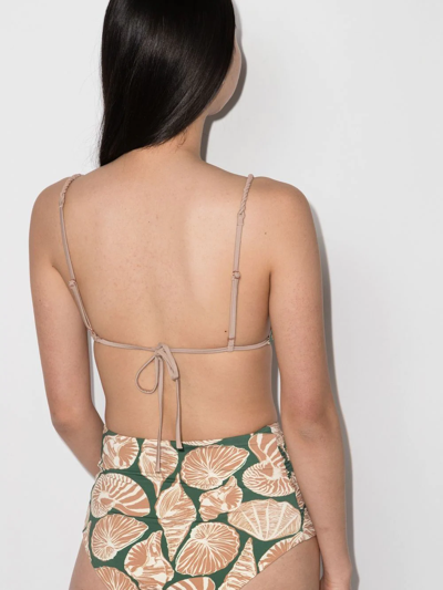 Shop Johanna Ortiz Seashell-graphic Triangle Bikini Top In Green