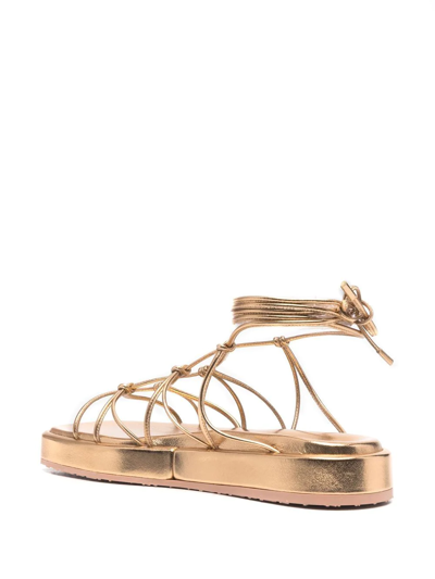 Shop Gianvito Rossi Minas Flatform Sandals In Gold