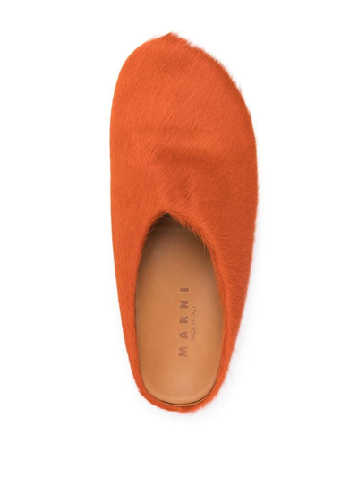 Shop Marni Fussbet Sabot Calf-hair Slippers In 橘色