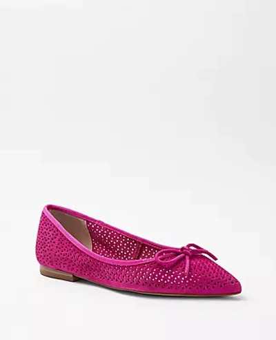 Shop Ann Taylor Perforated Suede Pointy Toe Ballet Flats In Magenta Sunset