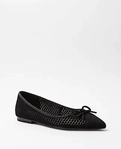 Shop Ann Taylor Perforated Suede Pointy Toe Ballet Flats In Black