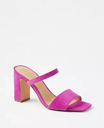 Shop Ann Taylor Suede Two Strap Block Heel Sandals In Magenta Sunset