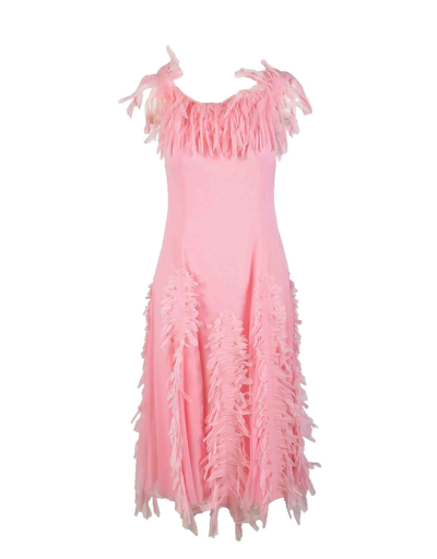 Shop Blumarine Womens Pink Dress