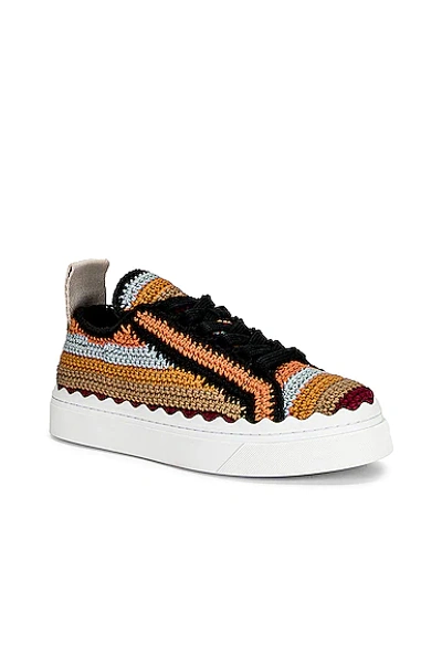 Shop Chloé Lauren Sneakers In Multicolor Brown