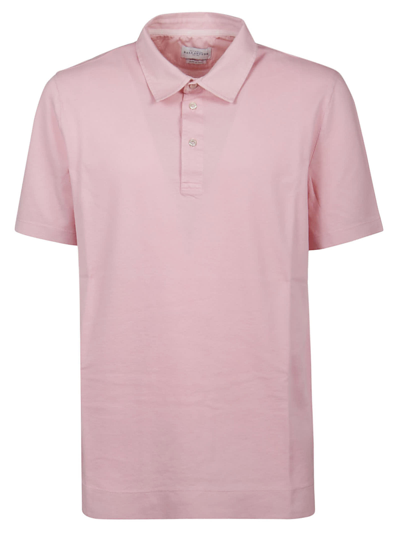 Shop Ballantyne Short Sleeve Polo Shirt In English Rose
