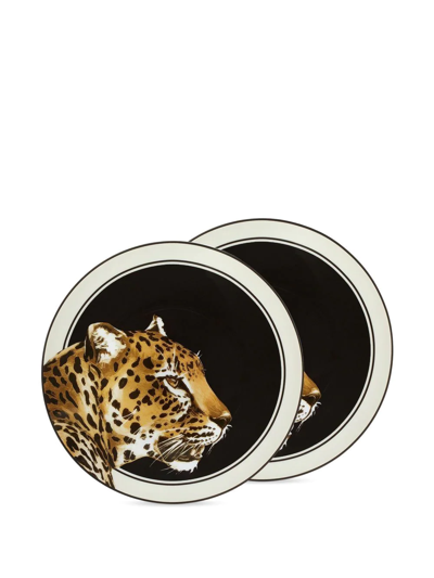 Dolce & Gabbana Set Of Two Leopard-print Bread Plates In White