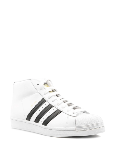 Shop Adidas Originals Pro Model J Sneakers In White