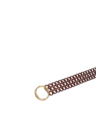 Shop Orciani Buckle Perforated Belt In Brown
