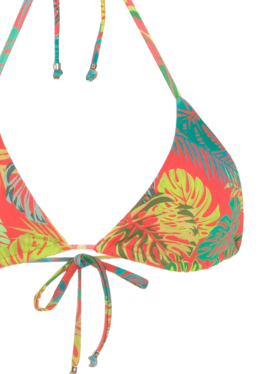 Amir Slama Palm Leaf Print Bikini In Red