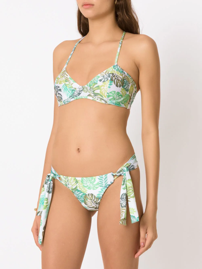 Shop Amir Slama Palm Leaf Print Bikini In Green