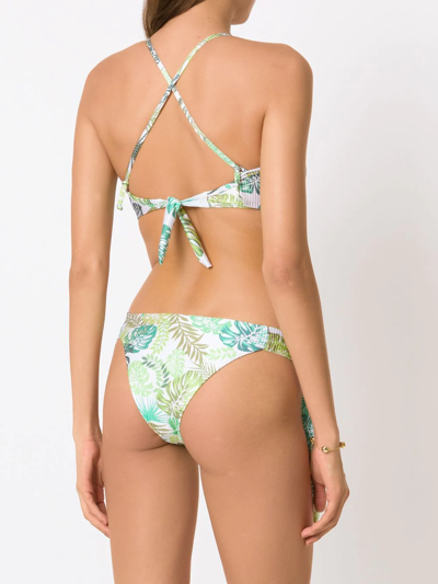 Amir Slama Palm Leaf Print Bikini In Green