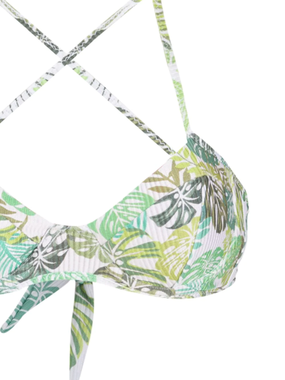 Shop Amir Slama Palm Leaf Print Bikini In Green