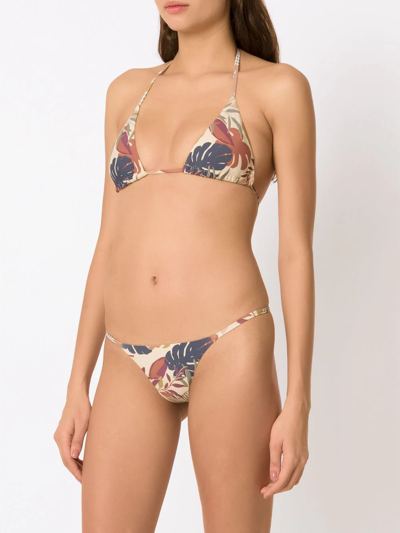 Amir Slama Palm Leaf Print Bikini In Neutrals