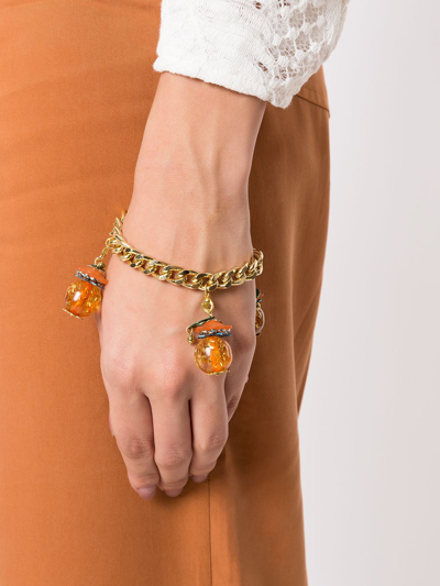Shop Amir Slama Interchangeable Bracelet And Earrings In Gold