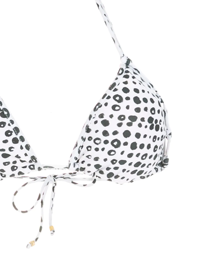 Amir Slama Polka Dot-print Triangle Bikini In Neutrals