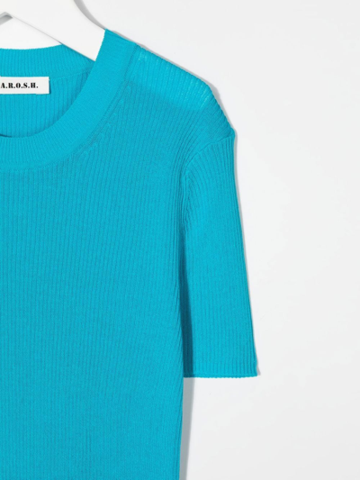 Shop P.a.r.o.s.h Cipria Ribbed-knit Top In Blue