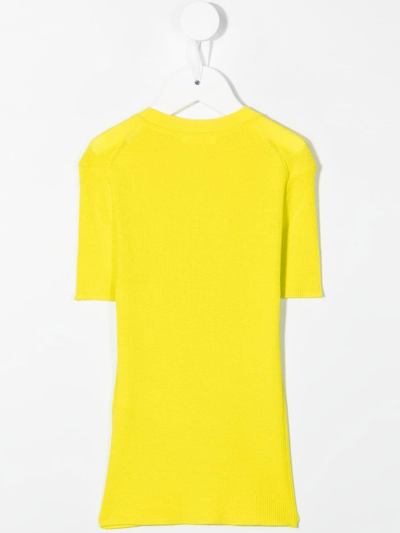 Shop P.a.r.o.s.h Cipria Ribbed-knit Top In Yellow