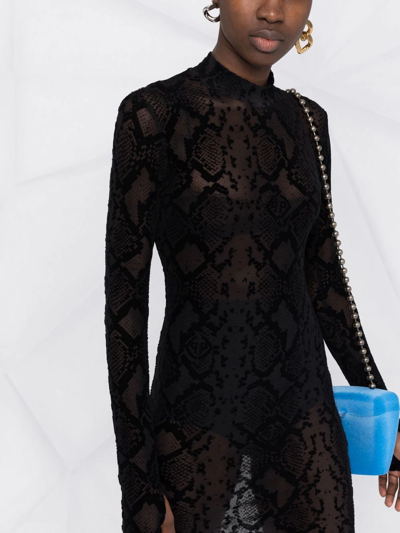 Philipp Plein Snakeskin-print Sheer Dress In Black