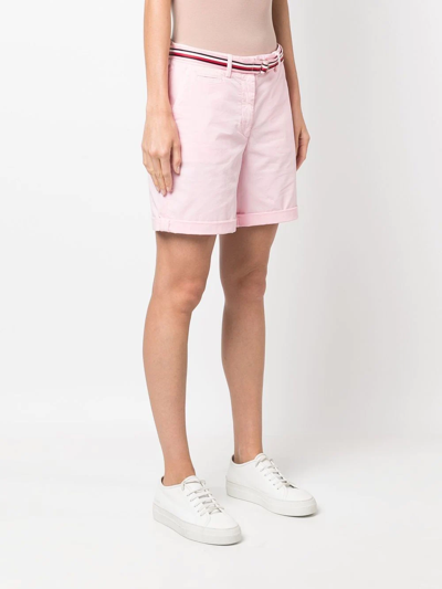 Shop Tommy Hilfiger Belted Chino Shorts In Pink