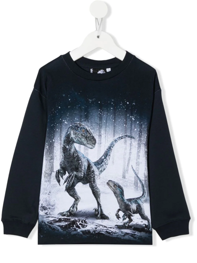 Shop Molo Dino-print Organic Cotton Sweatshirt In Blue