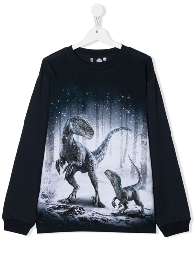 Shop Molo Teen Rube Forest Dino-print Organic Cotton Sweatshirt In Blue