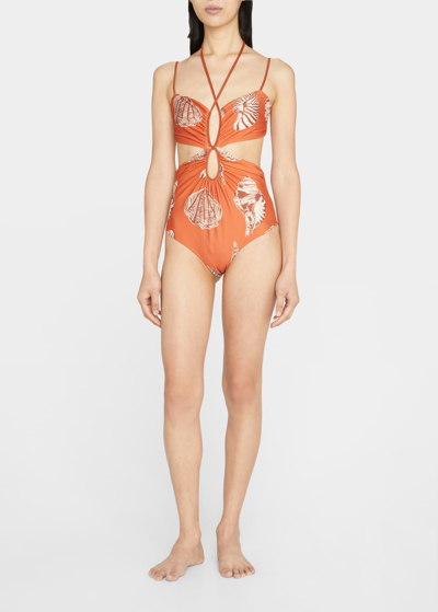 Shop Johanna Ortiz Reef Discovery One-piece Swimsuit In Bijoux Orangeecru
