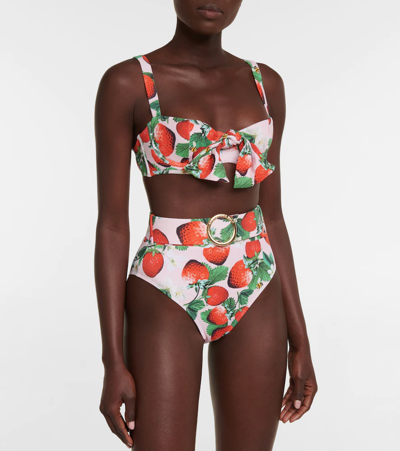 Shop Alexandra Miro Clara Printed Bikini Top In Berry Prt