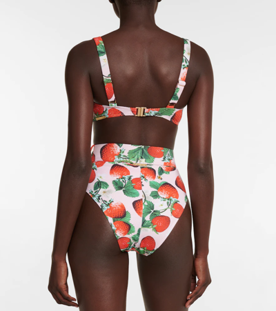 Alexandra Miro Clara Printed Bikini Top In Berry Prt