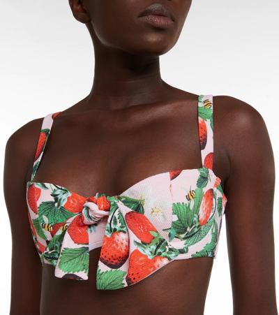 Shop Alexandra Miro Clara Printed Bikini Top In Berry Prt