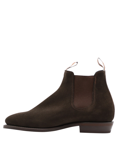 Shop R.m.williams "adelaide" Ankle Boots In Brown