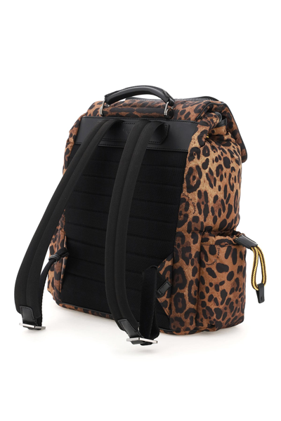 Shop Dolce & Gabbana Sicily Leo-print Nylon Backpack In Mixed Colours