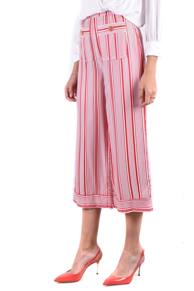 Elisabetta Franchi Trousers In Multicolor